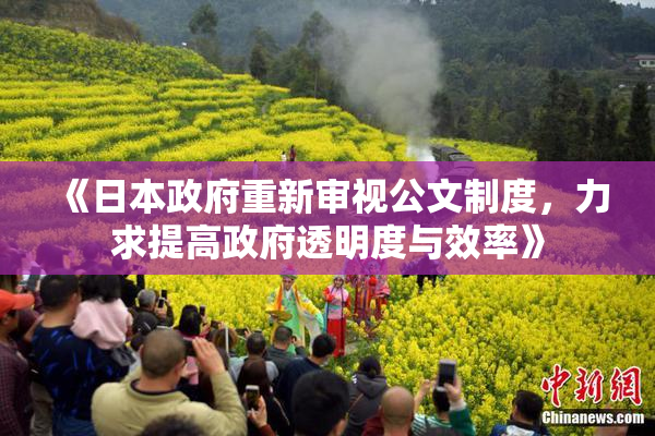 《日本政府重新审视公文制度，力求提高政府透明度与效率》