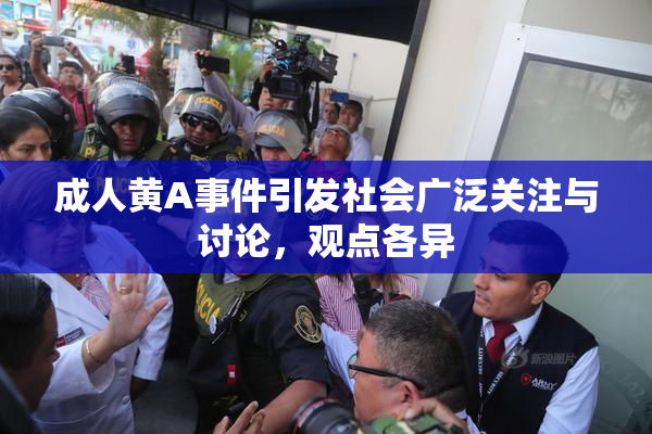 成人黄A事件引发社会广泛关注与讨论，观点各异