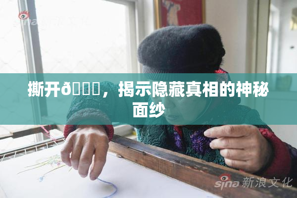 撕开👙，揭示隐藏真相的神秘面纱