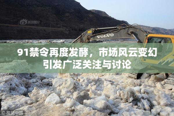 91禁令再度发酵，市场风云变幻引发广泛关注与讨论