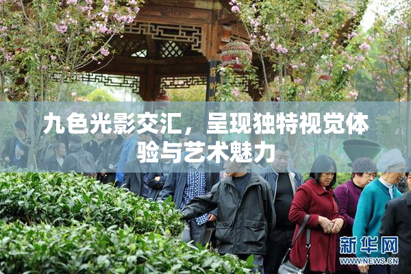 九色光影交汇，呈现独特视觉体验与艺术魅力