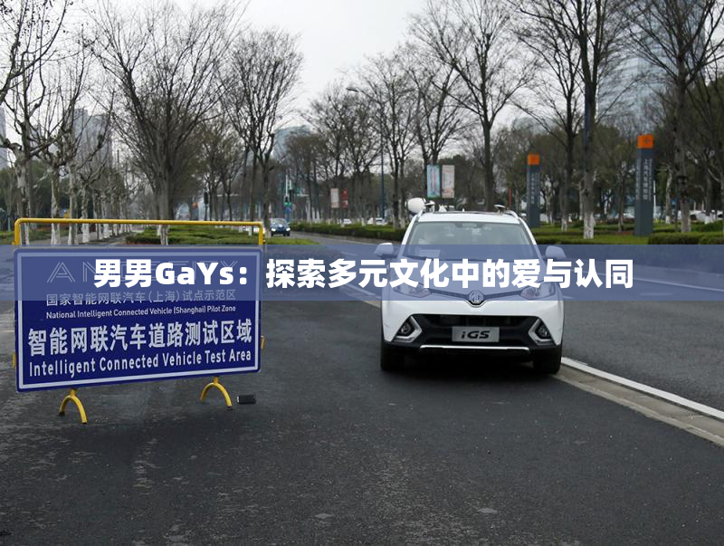 男男GaYs：探索多元文化中的爱与认同