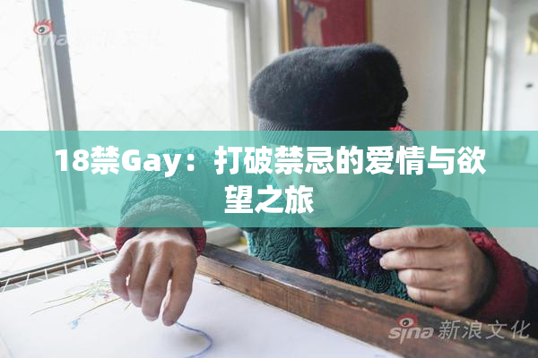 18禁Gay：打破禁忌的爱情与欲望之旅