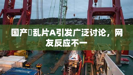 国产婬乱片A引发广泛讨论，网友反应不一