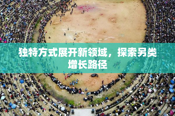独特方式展开新领域，探索另类增长路径