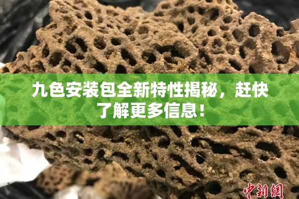 九色安装包全新特性揭秘，赶快了解更多信息！