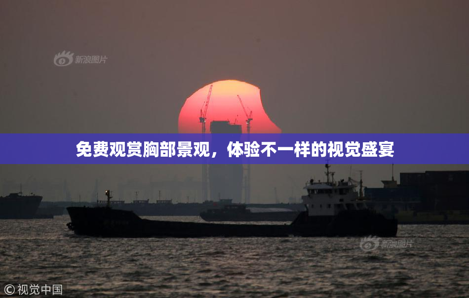 免费观赏胸部景观，体验不一样的视觉盛宴