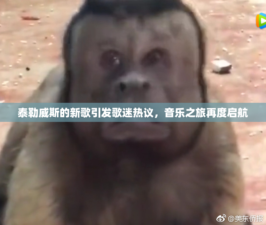 泰勒威斯的新歌引发歌迷热议，音乐之旅再度启航