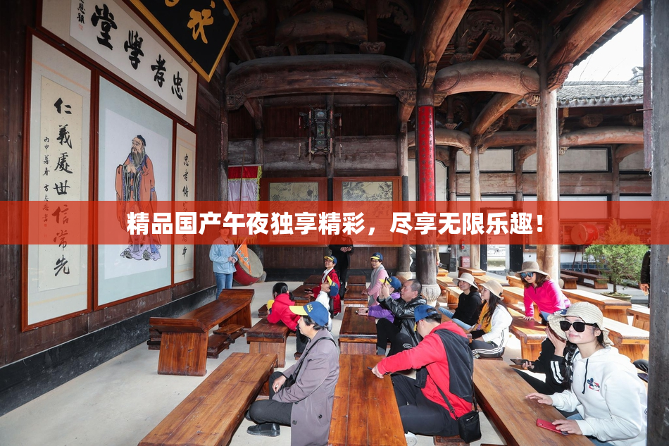 精品国产午夜独享精彩，尽享无限乐趣！