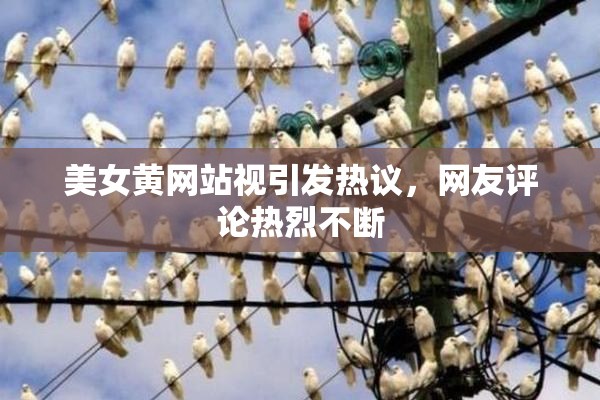 美女黄网站视引发热议，网友评论热烈不断