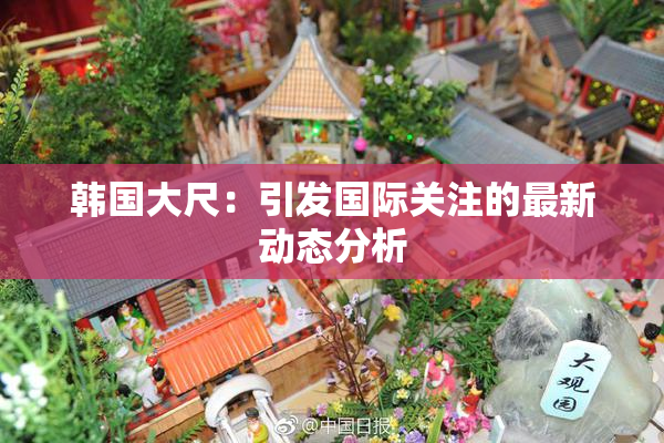 韩国大尺：引发国际关注的最新动态分析