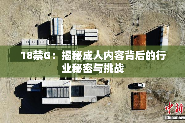 18禁G：揭秘成人内容背后的行业秘密与挑战