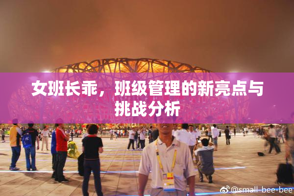 女班长乖，班级管理的新亮点与挑战分析