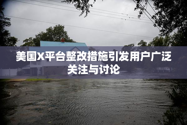 美国X平台整改措施引发用户广泛关注与讨论