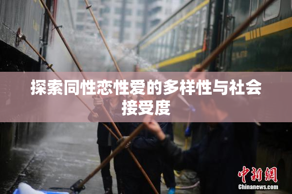 探索同性恋性爱的多样性与社会接受度