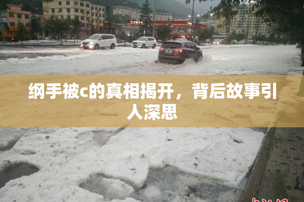 纲手被c的真相揭开，背后故事引人深思