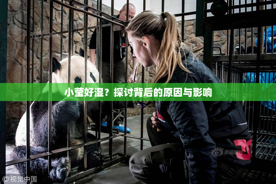 小莹好湿？探讨背后的原因与影响