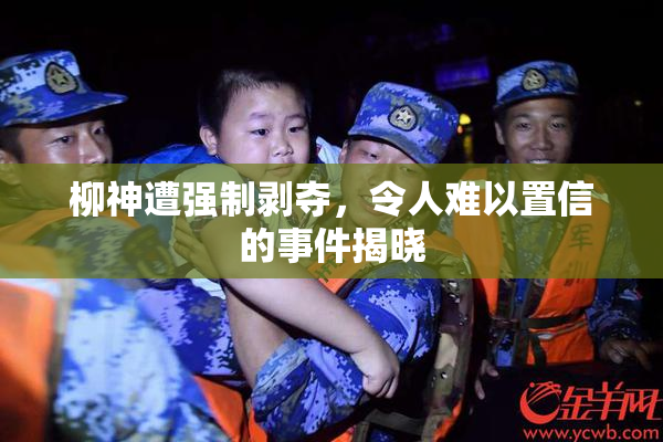 柳神遭强制剥夺，令人难以置信的事件揭晓