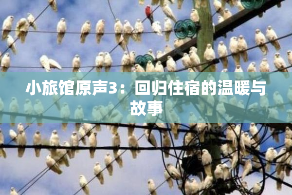 小旅馆原声3：回归住宿的温暖与故事
