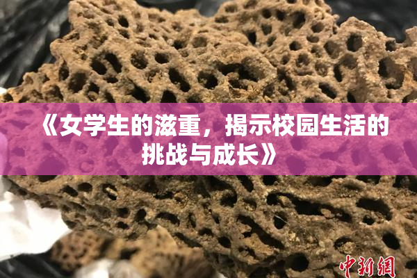 《女学生的滋重，揭示校园生活的挑战与成长》