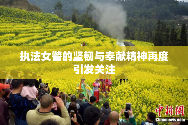 执法女警的坚韧与奉献精神再度引发关注