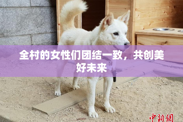 全村的女性们团结一致，共创美好未来