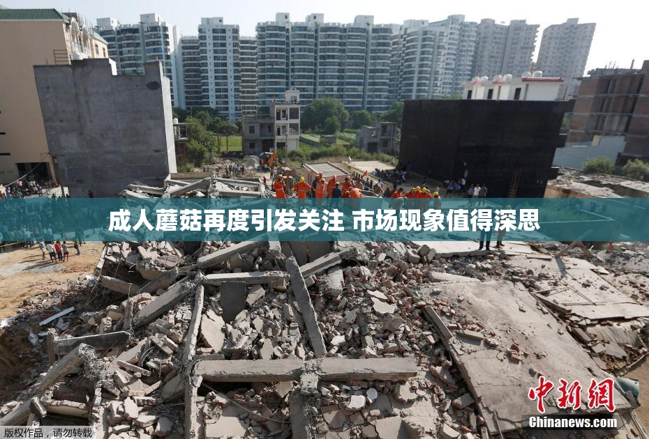 成人蘑菇再度引发关注 市场现象值得深思