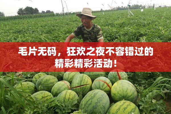 毛片无码，狂欢之夜不容错过的精彩精彩活动！
