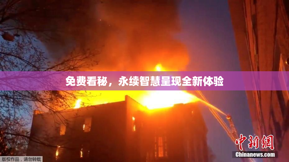 免费看秘，永续智慧呈现全新体验