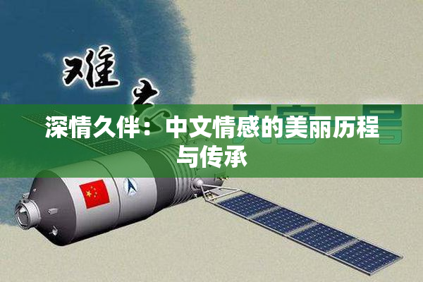 深情久伴：中文情感的美丽历程与传承