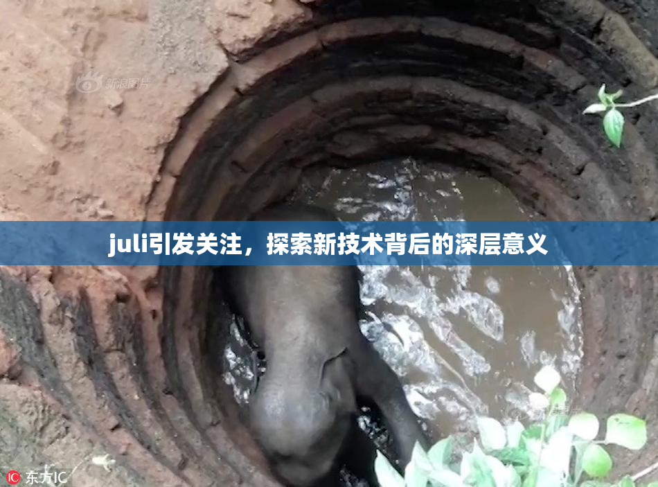 juli引发关注，探索新技术背后的深层意义