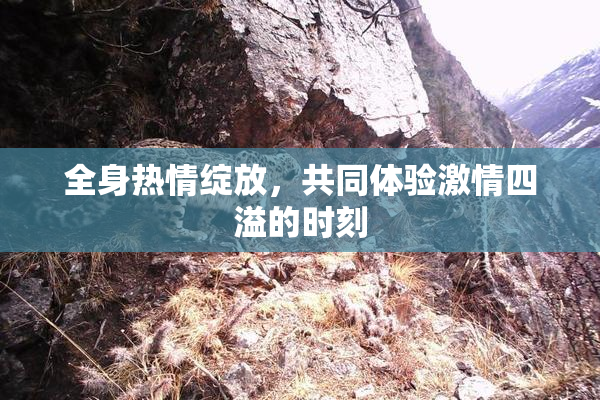 全身热情绽放，共同体验激情四溢的时刻