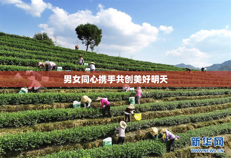 男女同心携手共创美好明天