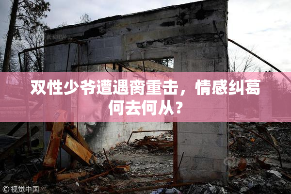 双性少爷遭遇脔重击，情感纠葛何去何从？