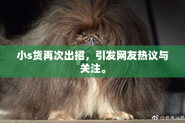 小s货再次出招，引发网友热议与关注。