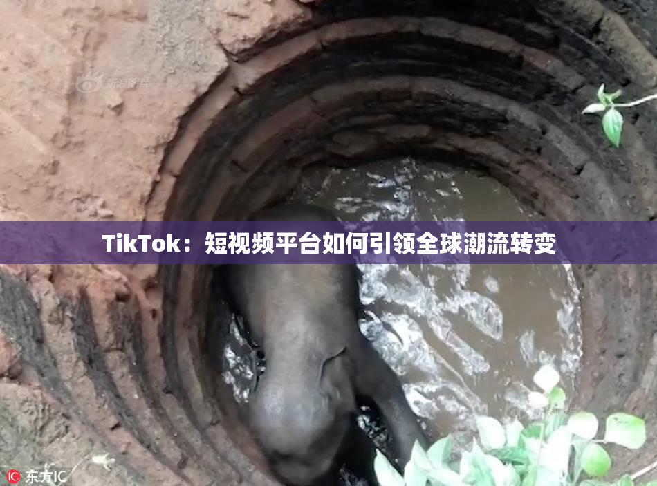 TikTok：短视频平台如何引领全球潮流转变
