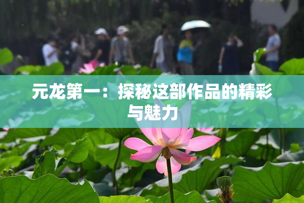 元龙第一：探秘这部作品的精彩与魅力