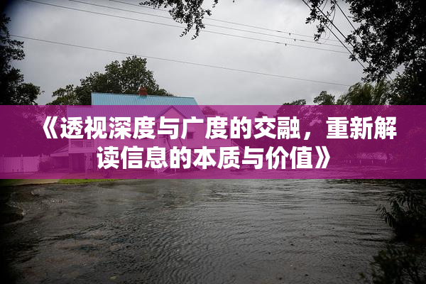 《透视深度与广度的交融，重新解读信息的本质与价值》
