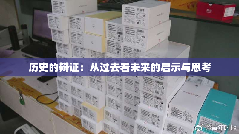 历史的辩证：从过去看未来的启示与思考