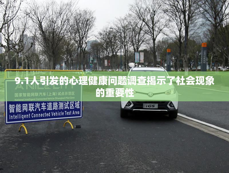 9.1人引发的心理健康问题调查揭示了社会现象的重要性