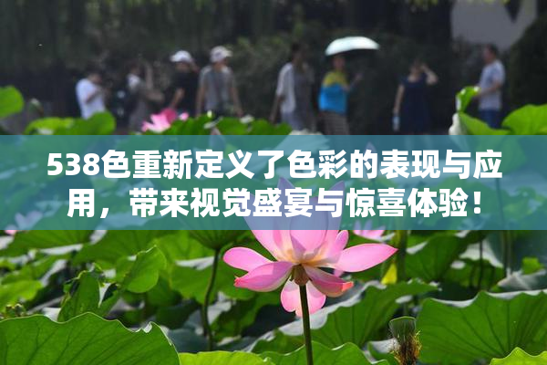 538色重新定义了色彩的表现与应用，带来视觉盛宴与惊喜体验！