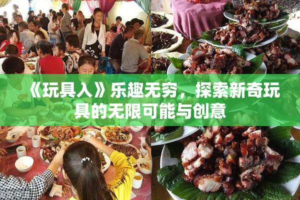 《玩具入》乐趣无穷，探索新奇玩具的无限可能与创意