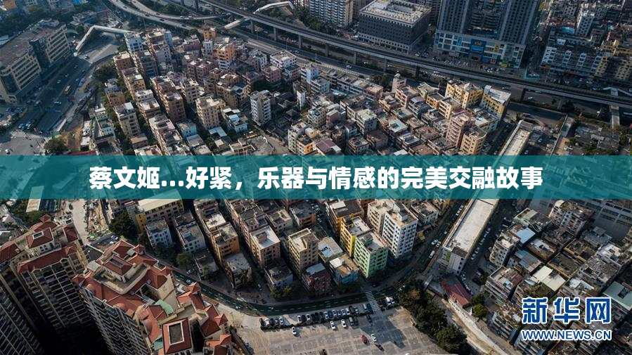 蔡文姬…好紧，乐器与情感的完美交融故事