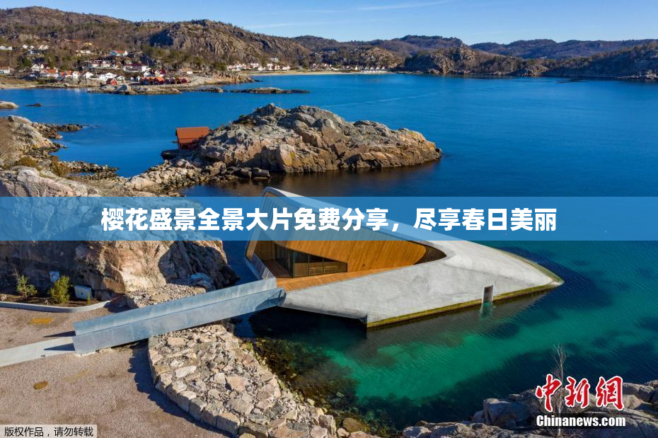 樱花盛景全景大片免费分享，尽享春日美丽