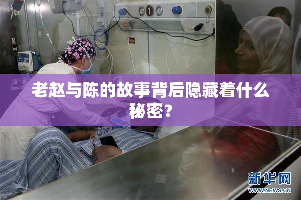 老赵与陈的故事背后隐藏着什么秘密？