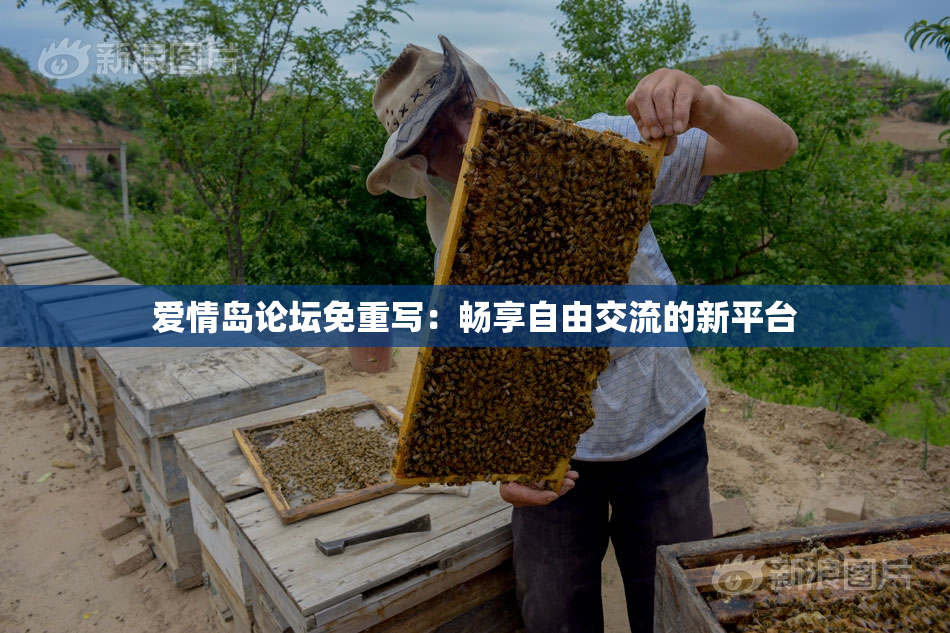 爱情岛论坛免重写：畅享自由交流的新平台