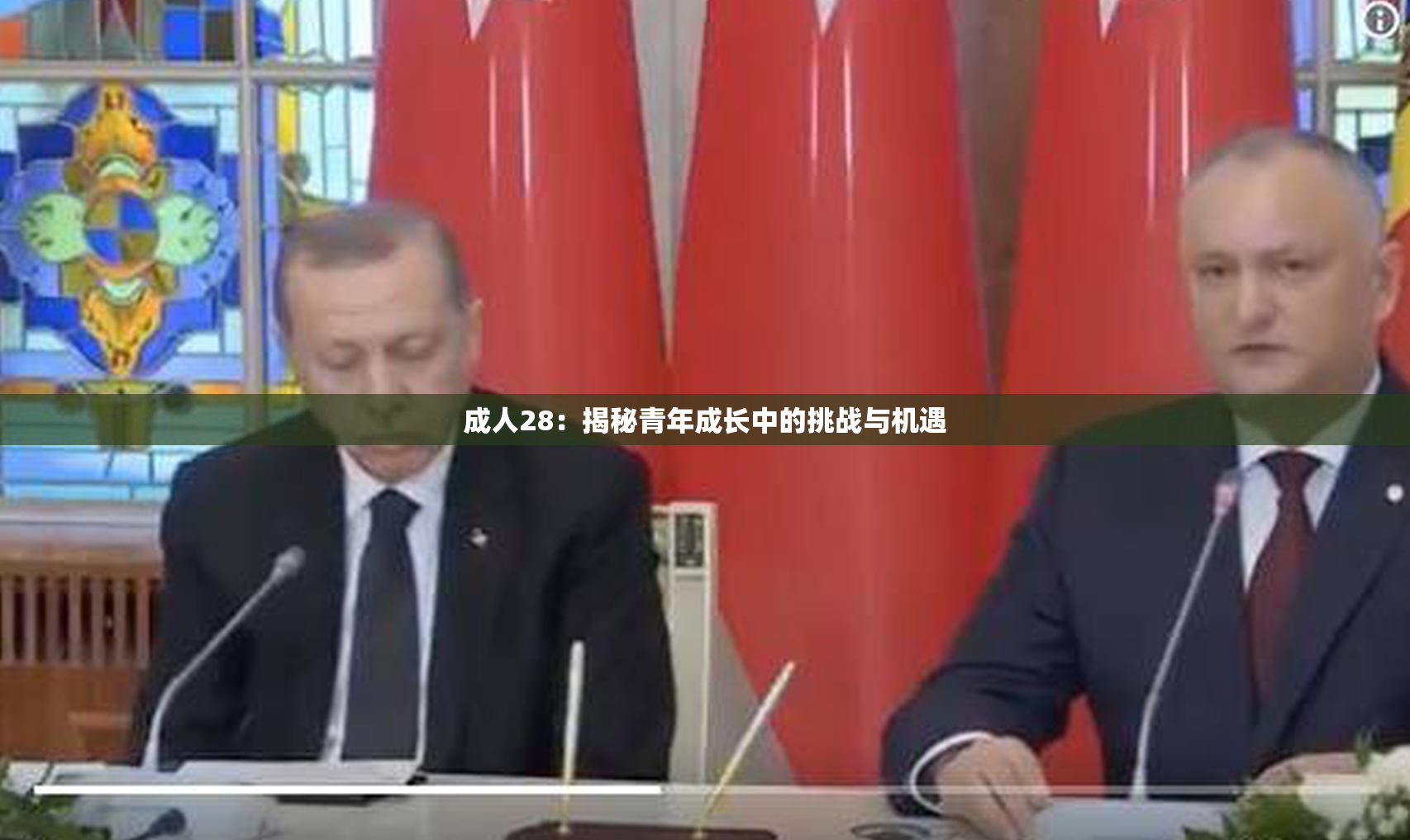 成人28：揭秘青年成长中的挑战与机遇