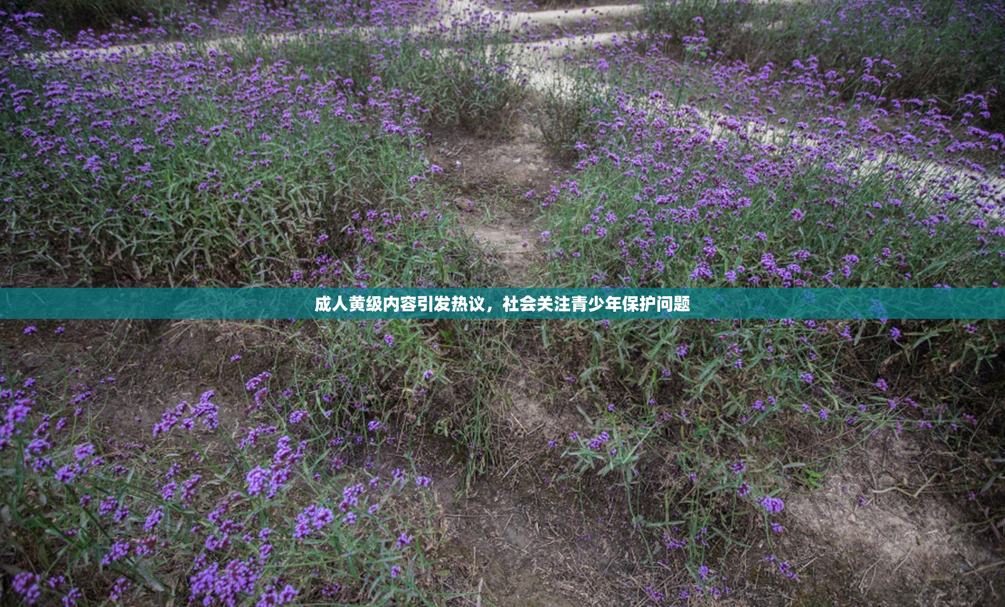 成人黄级内容引发热议，社会关注青少年保护问题