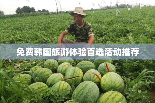 免费韩国旅游体验首选活动推荐