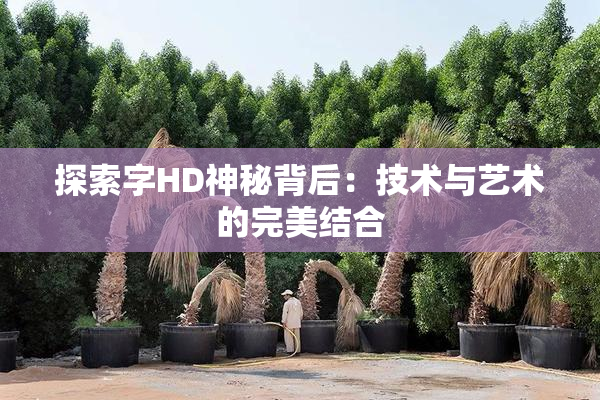 探索字HD神秘背后：技术与艺术的完美结合